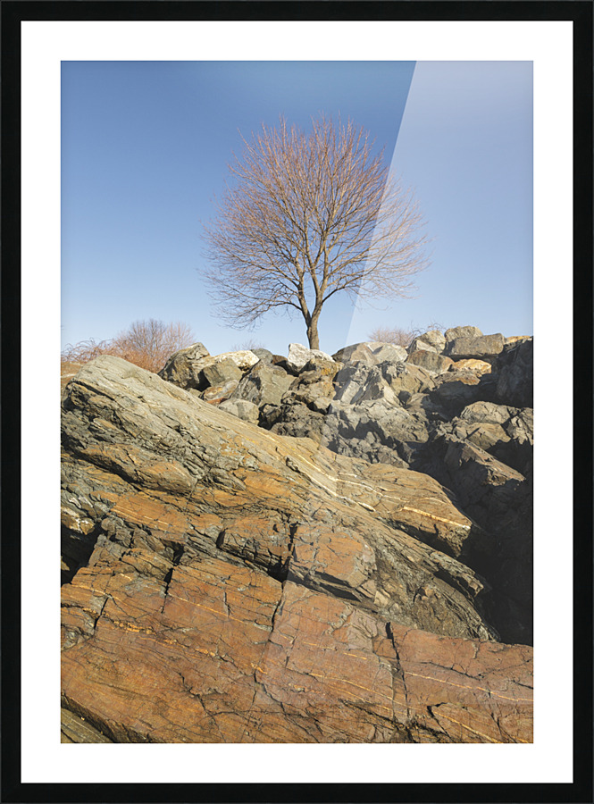 Great Island Common - New Castle New Hampshire Picture Frame print