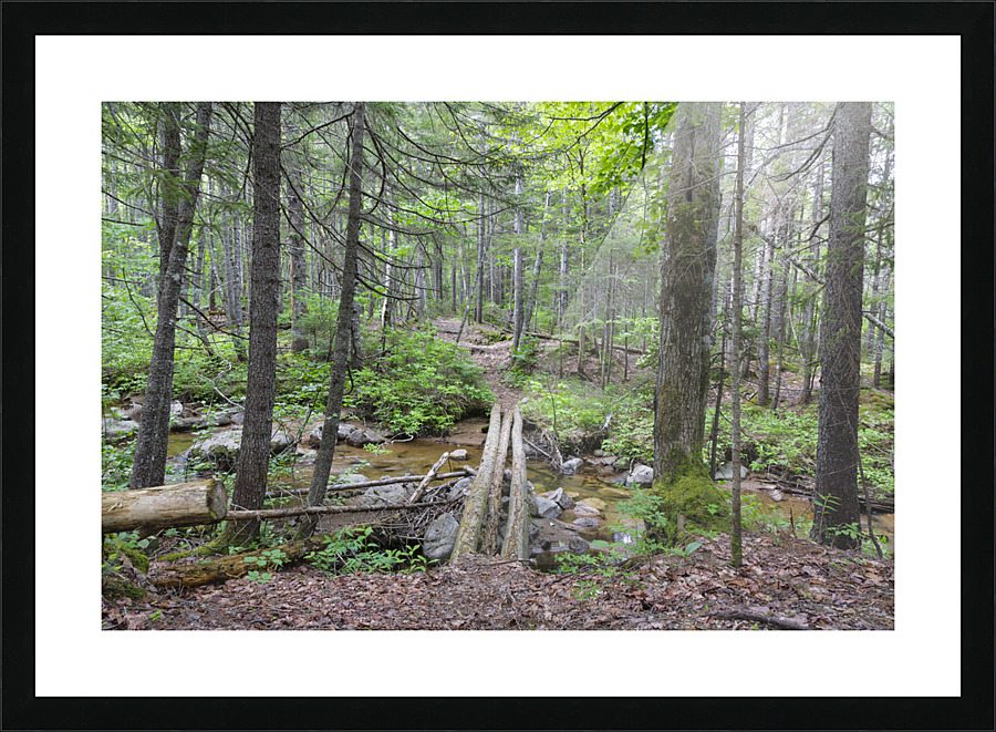 Nancy Pond Trail - Pemigewasset Wilderness New Hampshire  Picture Frame print