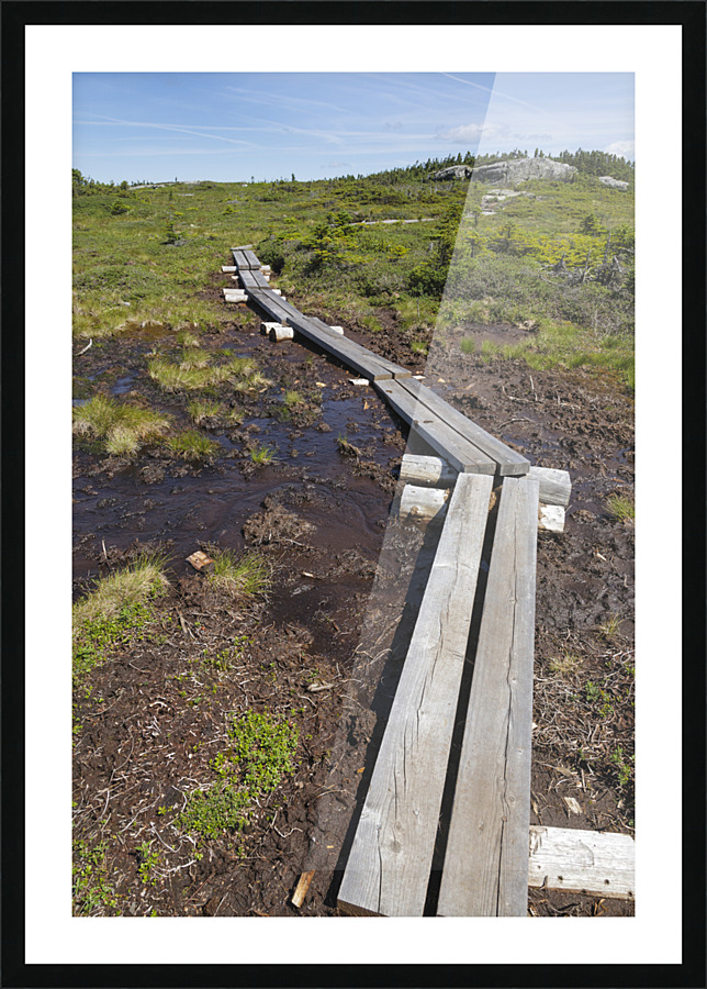 Mount Success - Success New Hampshire Picture Frame print