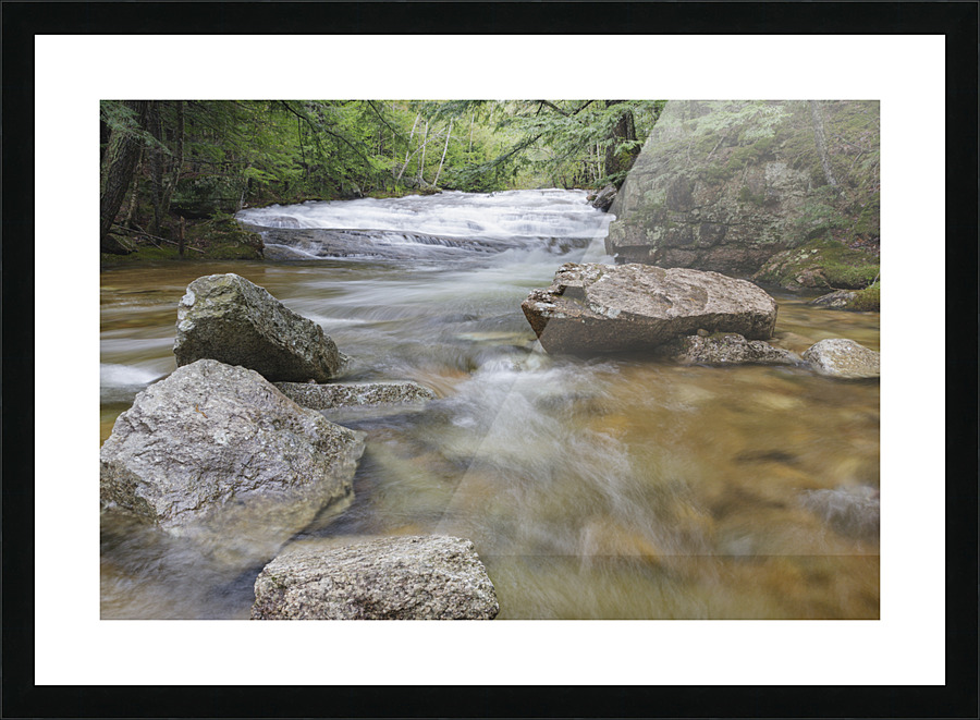 Bartlett Experimental Forest - Bartlett New Hampshire Impression et Cadre photo