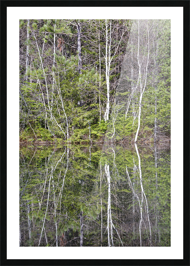 Kancamagus Highway - White Mountains New Hampshire Impression et Cadre photo