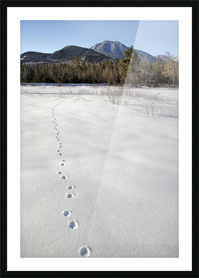 Mount Passaconaway - Albany New Hampshire Picture Frame print