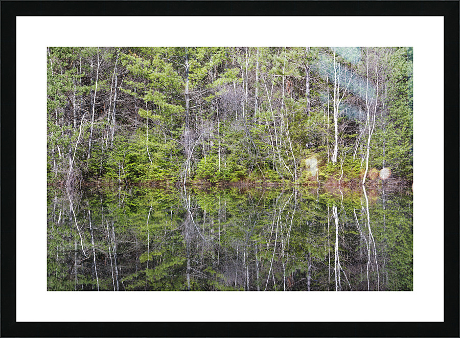 Kancamagus Highway - White Mountains New Hampshire Picture Frame print