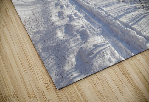 Forest Discovery Trail - White Mountains New Hampshire ScenicNH Photography puzzle