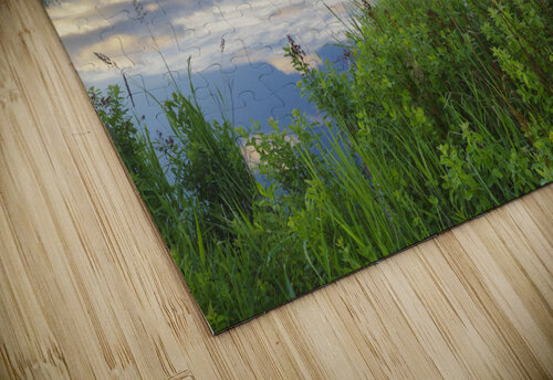 Cherry Mountain - Moorhen Marsh Pondicherry Wildlife Refuge ScenicNH Photography puzzle