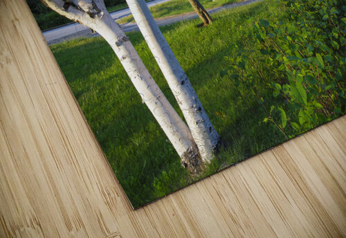 Eagle Cliff - Franconia Notch State Park New Hampshire ScenicNH Photography puzzle