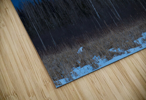 Pondicherry Wildlife Refuge - Jefferson New Hampshire ScenicNH Photography puzzle