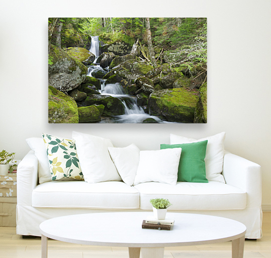 Cold Brook - Low and Burbanks Grant New Hampshire Reproduction