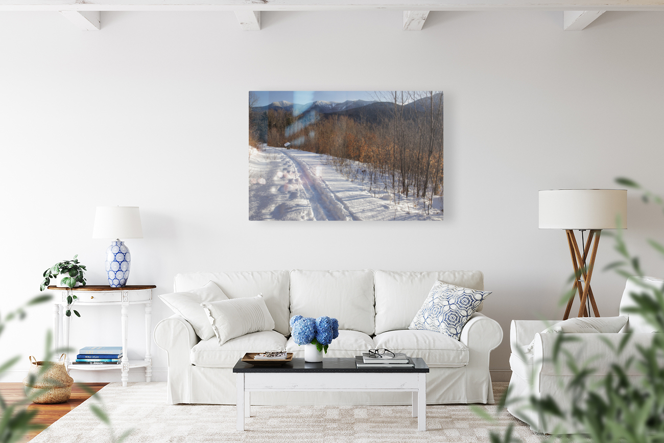 Forest Discovery Trail - White Mountains New Hampshire Reproduction