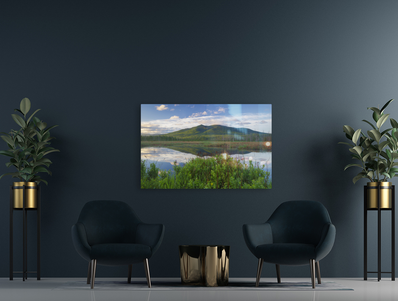 Cherry Mountain - Moorhen Marsh Pondicherry Wildlife Refuge Reproduction