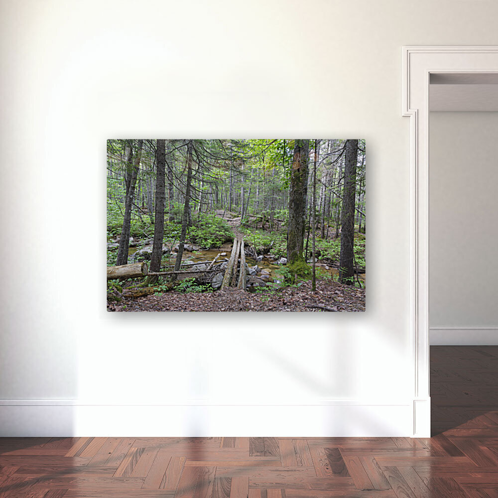 Nancy Pond Trail - Pemigewasset Wilderness New Hampshire  Reproduction
