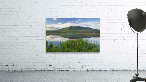 Cherry Mountain - Moorhen Marsh Pondicherry Wildlife Refuge Wall Preview