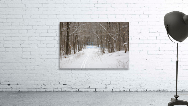 Lafayette Ski Trails - Franconia New Hampshire Wall Preview