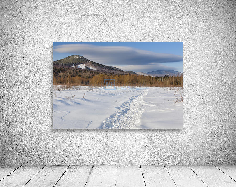 Downes - Oliverian Brook Ski Trail - White Mountains New Hampshire Wall Preview