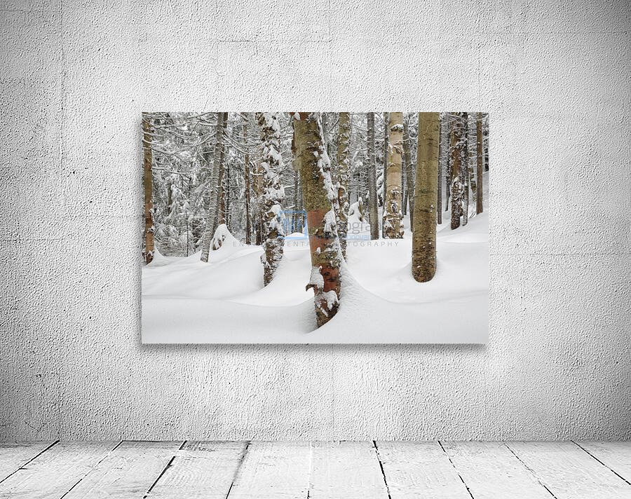 Mount Jim - Kinsman Notch New Hampshire Wall Preview