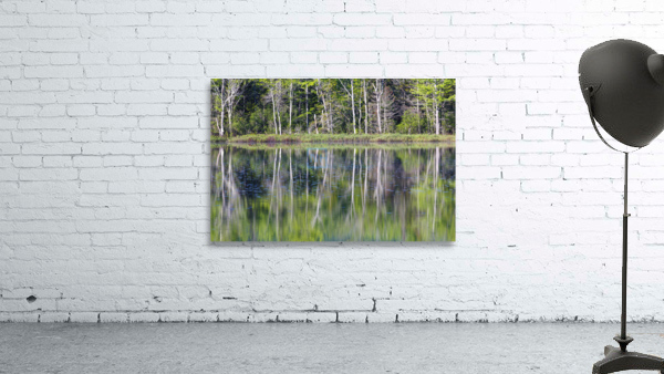 Elbow Pond - North Woodstock New Hampshire Wall Preview