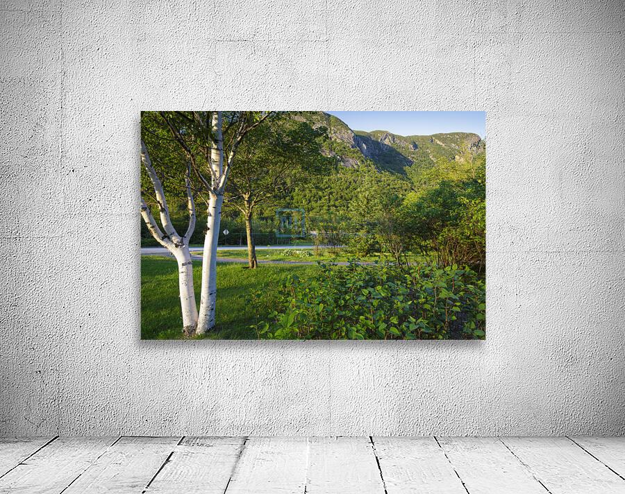 Eagle Cliff - Franconia Notch State Park New Hampshire Wall Preview