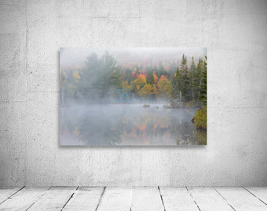 Wildlife Pond - Bethlehem New Hampshire Wall Preview