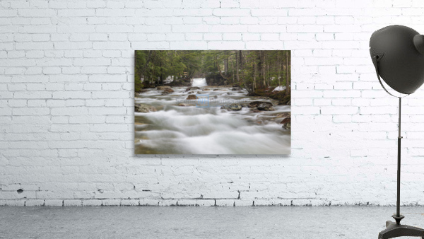 The Baby Flume - Franconia Notch State Park New Hampshire Wall Preview