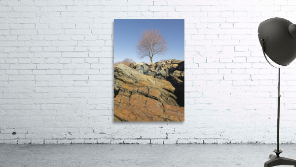 Great Island Common - New Castle New Hampshire Wall Preview