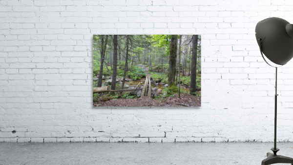 Nancy Pond Trail - Pemigewasset Wilderness New Hampshire  Wall Preview