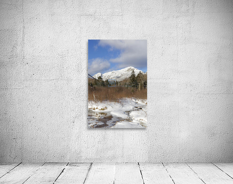 Pemi Trail - Franconia New Hampshire Wall Preview