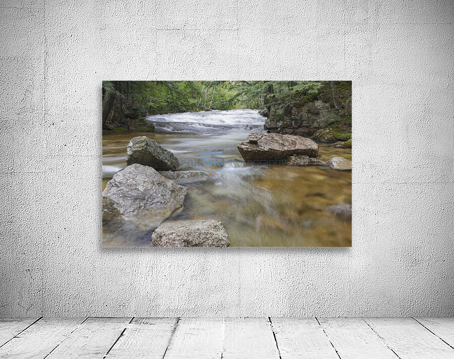 Bartlett Experimental Forest - Bartlett New Hampshire Wall Preview