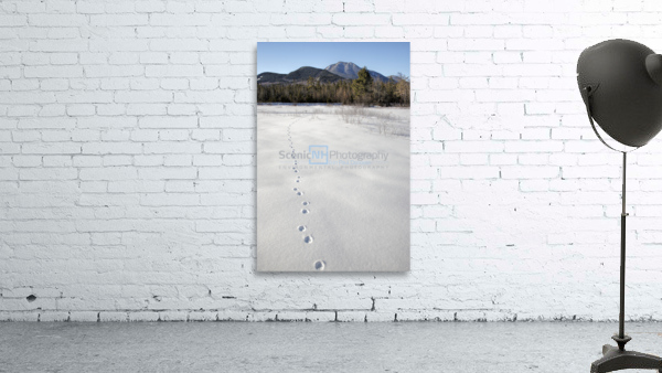 Mount Passaconaway - Albany New Hampshire Wall Preview
