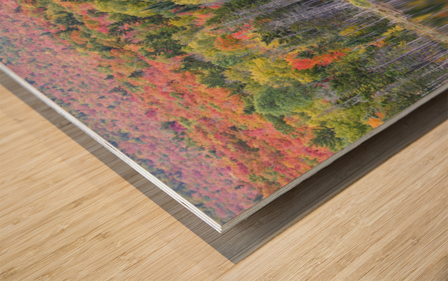 Old Cherry Mountain Road - Carroll New Hampshire Wood print