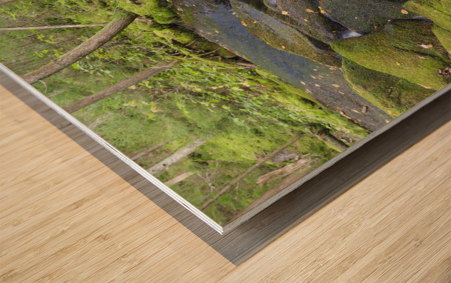 Scarface Brook - Bethlehem New Hampshire Wood print