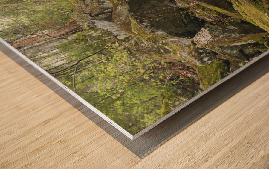 Stark Falls Brook - Kinsman Notch New Hampshire  Wood print