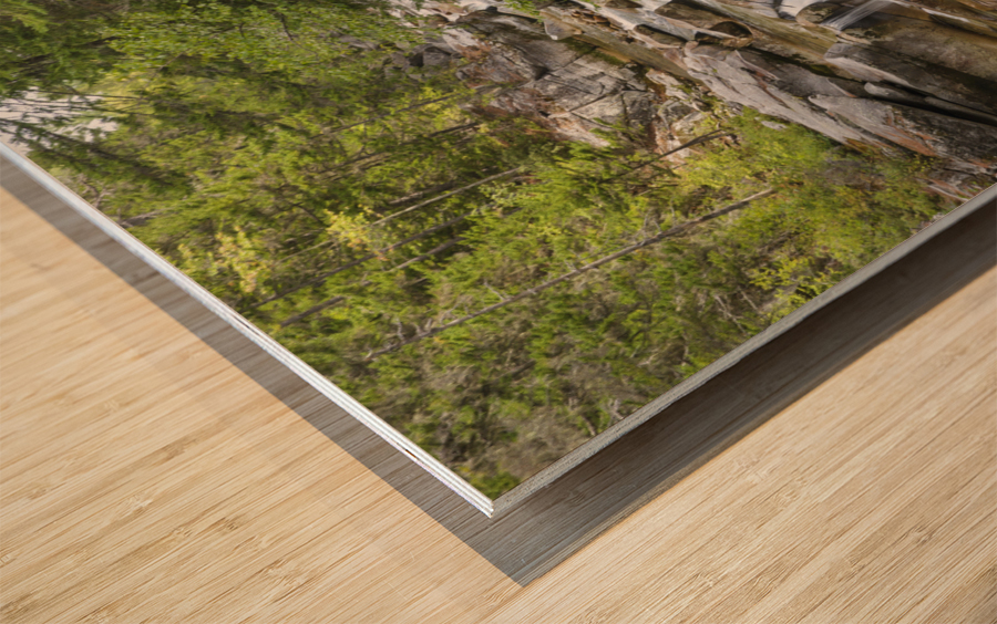 Middle Ammonoosuc Falls - Crawfords Purchase New Hampshire  Wood print