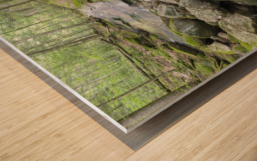 Pollard Brook - Lincoln New Hampshire Wood print