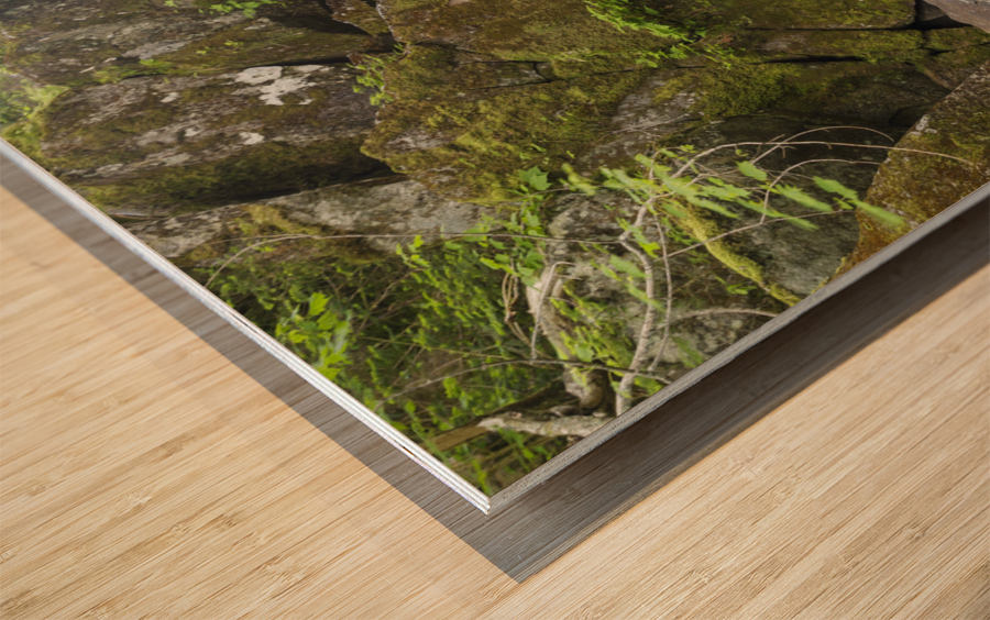 Duck Fall - Low and Burbanks Grant New Hampshire  Wood print