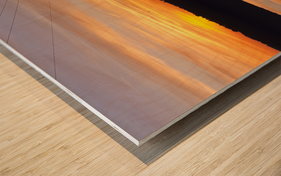 Salt Marsh - Hampton New Hampshire Wood print