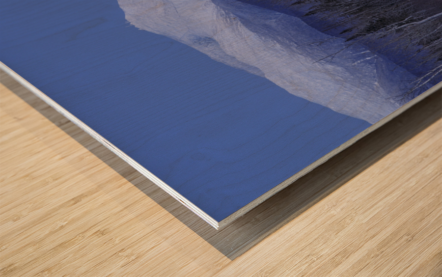 Mount Washington - Pondicherry Wildlife Refuge New Hampshire Wood print