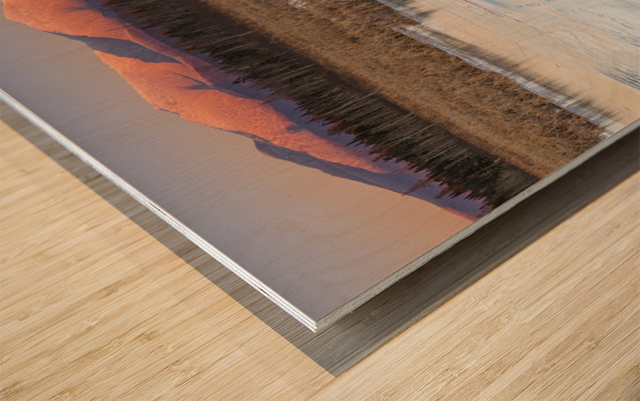 Pondicherry Wildlife Refuge - Jefferson New Hampshire Wood print