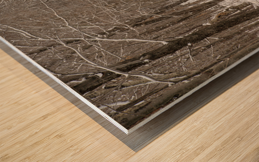 Lafayette Ski Trails - Franconia New Hampshire Wood print