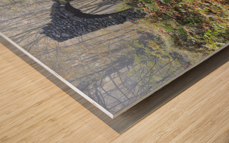 Madame Sherri Forest - Chesterfield New Hampshire Wood print