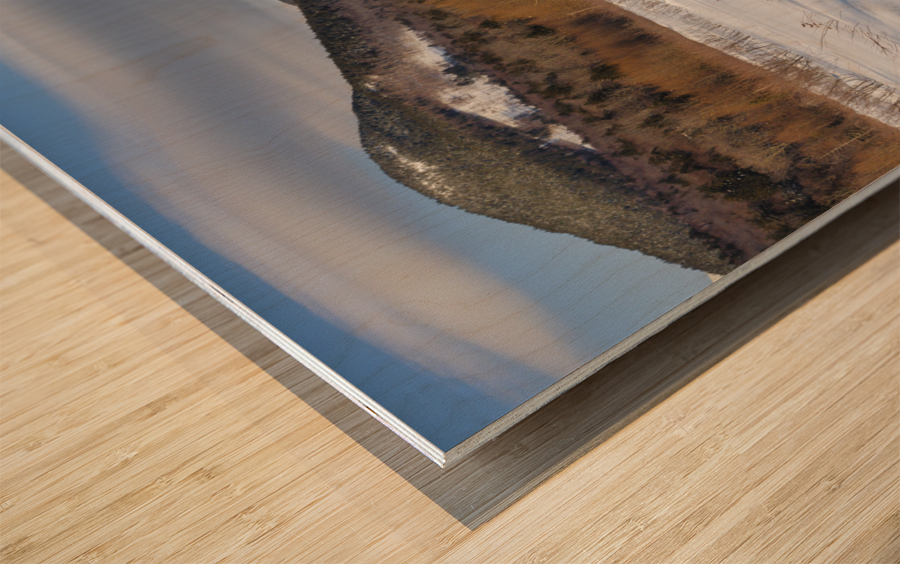 Downes - Oliverian Brook Ski Trail - White Mountains New Hampshire Wood print