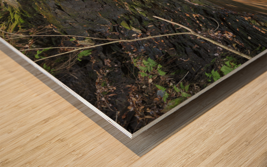 Blue Ravine Cascades - Kinsman Notch New Hampshire Wood print