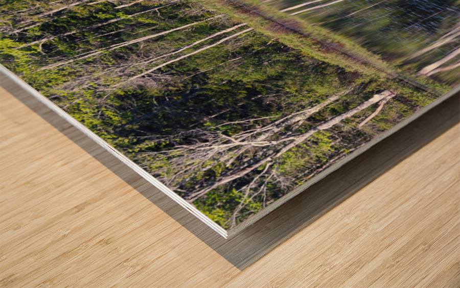 Elbow Pond - North Woodstock New Hampshire Wood print