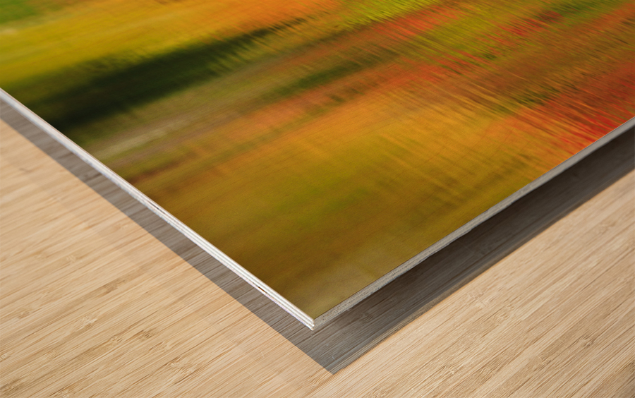 Wildlife Pond - Bethlehem  New Hampshire  Wood print