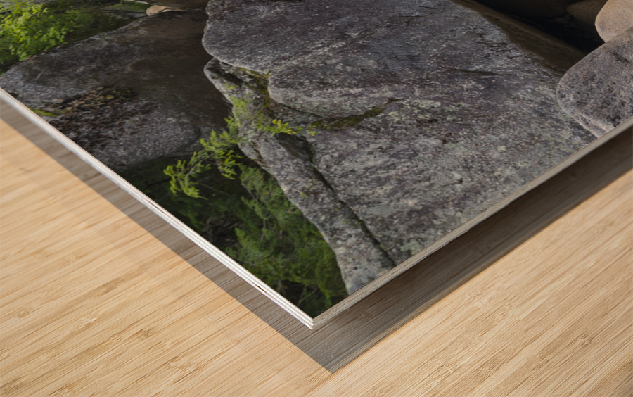 Pemigewasset River - Franconia Notch State Park New Hampshire Wood print