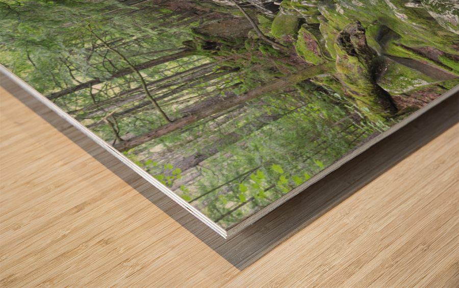 Walker Brook - Woodstock New Hampshire Impression sur bois