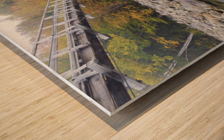 Great Gulf Trail - White Mountains New Hampshire Wood print