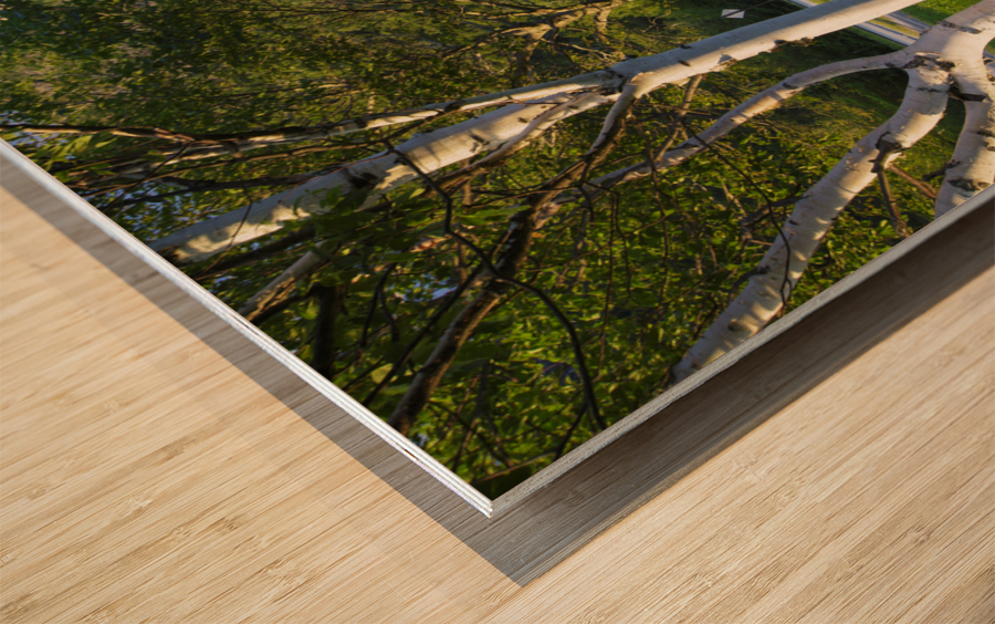 Eagle Cliff - Franconia Notch State Park New Hampshire Impression sur bois