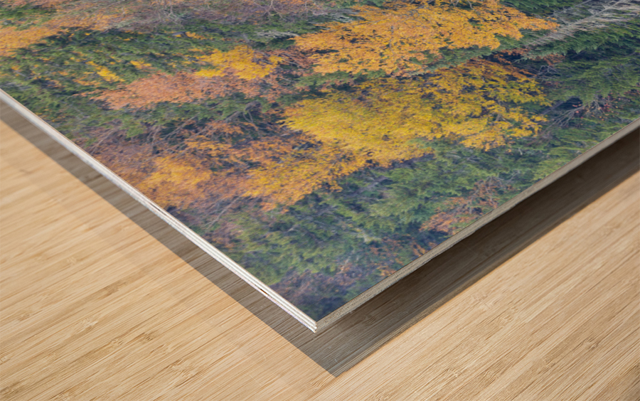 Saco Lake - Carroll New Hampshire Wood print