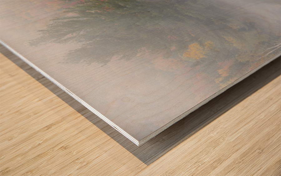 Wildlife Pond - Bethlehem New Hampshire Wood print