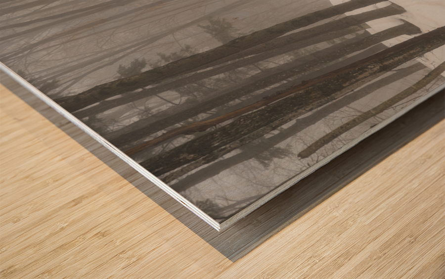 Flume Gorge - Lincoln New Hampshire Impression sur bois